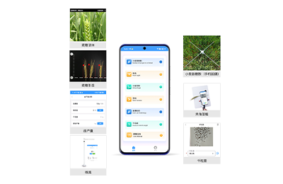 兰州市小麦表型检测仪IN-XM04