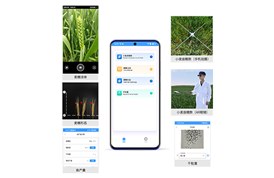 兰州市小麦亩穗数分析仪IN-XM02